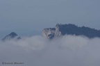 IMGP0212v