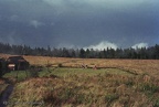 F VII 1990 KL 28v